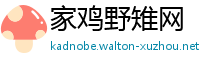 家鸡野雉网